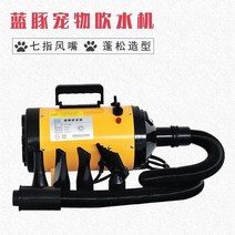 강아지건조기 펫드라이기 드라이룸 강아지 중형견 대형견 펫드라이룸 애완동물 정수기 고양이 목욕 및 건조 헤어드라이어 고출력 사일런트 호스, [01] LT-L 장모견용 무단 변속 하늘색 신형 표준