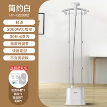 의류관리기 옷드라이 하이얼 의류 다림질 기계 가정용 철 물 탱크 관리 상업 매장 더블 극 전기 다리미 전용, 6. 금