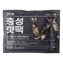 충성 포켓용 핫팩 중형 100g, 20개