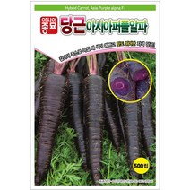 아시아종묘 자색당근씨앗 아시아퍼플러스 당근 (500립)