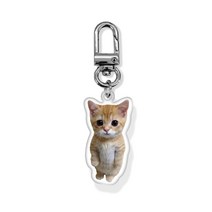 스마일 아기 고양이 아크릴 키링, D고리 실버