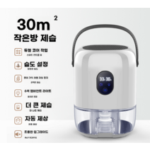 제습기 가정용 소형 건조기 공기 방습 건조 침실, 프리미엄