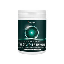 류신 WPH 유청 단백질 L-Leucine 더블유피에이치 protein 프로틴 엘로이신 유청단백가수분해물 완두 단백 분말 유청농축 단백분말 가루 파우더 운동 전후, 3개, 280 g