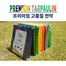 방수 천막 프리미엄 놀이 매트 그라운드 시트 사이즈 색상 다양 주문제작, 3*3.4m, 청색