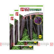 아시아종묘 자색당근씨앗 아시아퍼플러스 당근 (500립x3), 3개