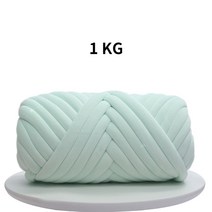 자이언트실1KG 1000g Super Chunky Yarn Thick Bulky Giant Threads Roving Spinning for Hand Knitting DI, 한개옵션1, 01 Mint Green 1KG