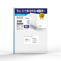 인터탑 플랜파일 쫄대화일 레일홀더 고투명 A4 A3 군자형, 인터탑 쫄대파일 A4 일반형 (30개팩), 1팩