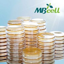 MRS Agar Plate/ MBcell 미생물 배지/ 생배지-제조된 배지/ 유산균 배양배지, 10Ea