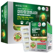 미국 미타징코엔시아 120캡슐 or 60캡슐/기억력 혈행개선 은행잎추출물 셀레늄, 1개, 700mg, 120정