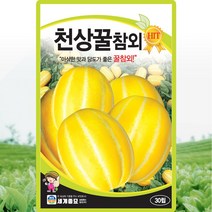 천상꿀참외 씨앗 참외 씨 종자 30립, 단품