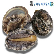 서해 신진도 활꽃게 오전주문 당일발송 꽃게찜 꽃게탕, 1개, 1kg (12미)