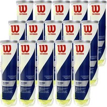 윌슨 테니스공 투어스탠다드 가압구 15캔 총 60구 WRT103800, 개