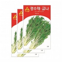 아시아종묘 채소씨앗 - 어린잎채소 경수채 교나(2000립x3)