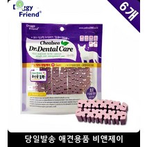 잇몸약한반려견 애견영양제 늙은고양이영양제 강아지영양제 고양이종합영양제 애완견유산균, 1개, 1개 1개