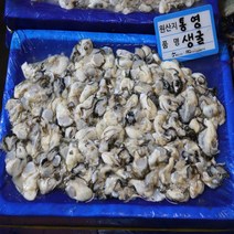 통영 횟감용 생굴 석화 굴 하프셀 석화구이 석굴 1kg 3kg 5kg 10kg 가리비 손질 횟감 용 1박스 사이즈 김장 찜용, 1-6. 생굴 5kg
