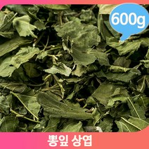 고품질 건조 뽕잎 600g 말린 상엽 약재 건강 전통차