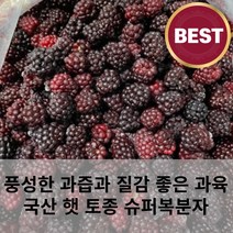 새콤달콤 풍성한 과즙 햇 토종 블랙베리 슈퍼복분자 3kg 5kg 복분자주 복분자액기스 복분자잼 벌크 대용량, 23년 햇 슈퍼복분자(블랙베리)지퍼백1kgx5개, 5개