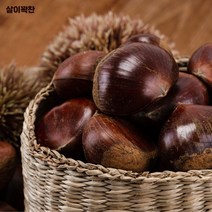살이 꽉 찬 맛있는 알밤, 알밤 2kg 상