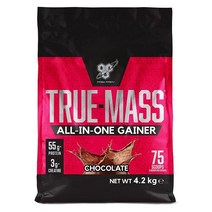 BSN 비에스엔 트루 매스 올인원 게이너 초콜릿 4.2kg 단백질쉐이크 True-mass