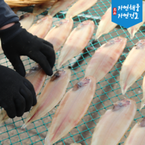 국내산 반건조 서천 박대 400g 5미 자연건조 손질 박대