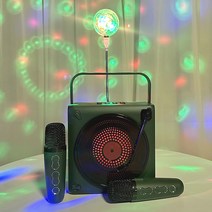 레트로 레코드판 무선 듀엣 노래방마이크 최대 30W 고출력 마이크2개 블루투스 스피커 에코 캠핑 차박 미러볼포함, Miracle