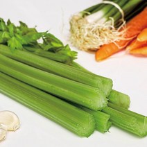 FRESH 새벽에 수확한 국내산 유기농 무농약 케일 신선초 샐러리 생 파슬리, 친환경 샐러리 2kg, 1박스
