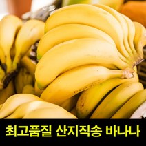 제주유진팡바나나판매 추천 순위 TOP 7