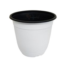 이색화분 흰색 17호, 단품