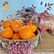 제주 고당도 천혜향 3kg 5kg 10kg 실속형 가정용 제철 귤로장생 산지직송, 천혜향 실속형 10kg (40 ~ 60과)