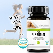 웰빙 보스웰리아 추출 분말 가루 보스웰릭산 효능 90정 1병 2병 3병 5병 인도산 보스웰리아함량49%이상, 90정x1병