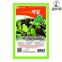 베이비 케일 씨앗 30g 진녹색 베이비채소 종자 + 네임택, 단품