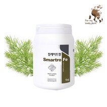 스마트로 Fe 킬레이트철 1kg 철 결핍 생리장해 도움