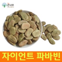 페루산 자이언트 파바빈 콩 300g 원물 항공직수, 단품