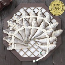 법성포 영광굴비 가정용20미 1~2.2kg내외_14~22cm내외, 20미1.6kg_19~20cm내외_명품굴비가방