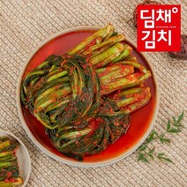 [딤채식품] 건강담은 갓김치 1kg, 없음, 1개