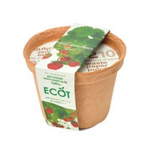 세이신 재배키트 식물키우기 텃밭세트 - 미니딸기 키우기, 2. 에코트S