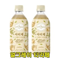 아름다운정성 아티제얼그레이티라떼 500mlX20개 휴대용 즉석음료 피크닉 여행 출장 홈카페 회의 손님대접 티타임 후식 디저트, 40개, 500ml