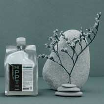 하이피피티 상한머리 복구 트리트먼트 1000ml, 1개