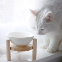 개밥주는아빠 개밥의도토리-뇸뇸뇸 반려동물 반려묘 식기 수전 밥그릇, 도자기, 1개