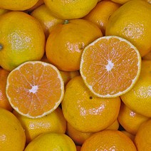 맛가득 제주도 레드향 천혜향 한라봉 황금향 타이벡 감귤, 1.5kg, 1개