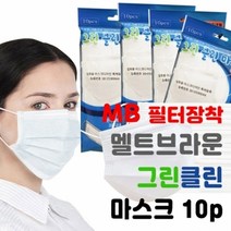 그린 클린 마스크 성인용대형 10매 일회용, 1