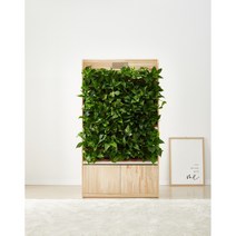 쿠키우드 미세먼지 잡는 수직정원, 5단형(식물별도)