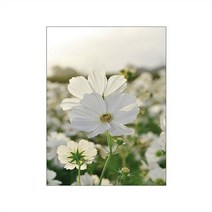 돈들어오는 해바라기 그림 고흐 대형 빈센트 튤립 꽃 시골 풍경 포스터 녹색 식물 자연 호수 포스터 벽 아트 캔버스 회화 홈, 09 9_05 50x70cm No Frame