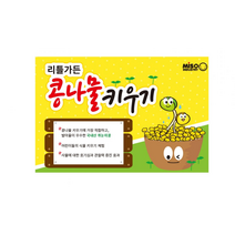 콩나물키우기 체험놀이 키트 국산콩 관찰 재배