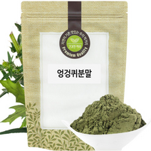 엉겅퀴 분말 가루 300g 국산 국내산, 1개, 단품