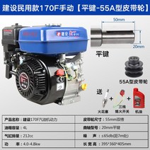 농업용 농사 가솔린 엔진 발전기 소형 펌프 전기 모터, 170F 수동 플랫 키 55A