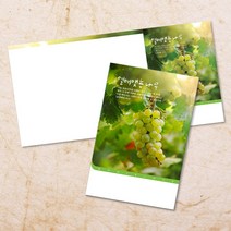 교회주보 예배 주보용지 3단6면 주보지 안내지 전도지 절기 부활절 추수감사 맥추감사 성탄절 신년감사 디자인 기독교용품, EW-22