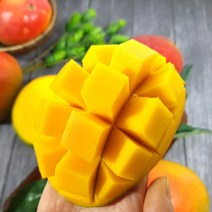 채홈 항공수입 고당도 애플 망고 브라질 애플망고 2kg 4kg (대과/특대과 혼합), 2kg 대과 특대과 혼합 (4과~6과)
