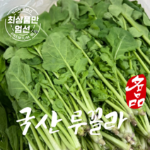 국산 로케트 루꼴라 샐러드용 신선 생루꼴라 1kg, 1개