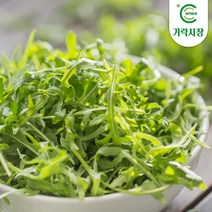 [온도씨]가락시장 와일드루꼴라 1팩(250g), 단품